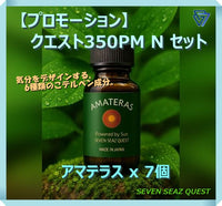 【プロモーション】クエスト350PM N セット（送料無料）