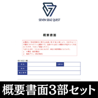 概要書面3部セット